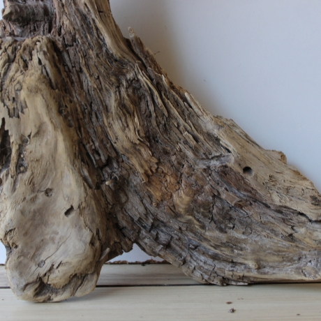 Treibholz Schwemmholz Driftwood 1 knorrirge Skulptur  48 cm 