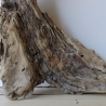 Treibholz Schwemmholz Driftwood 1 knorrirge Skulptur  48 cm 