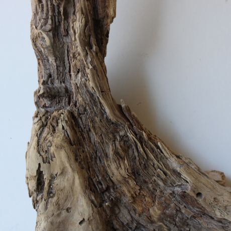 Treibholz Schwemmholz Driftwood 1 knorrirge Skulptur  48 cm 