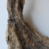 Treibholz Schwemmholz Driftwood 1 knorrirge Skulptur  48 cm 