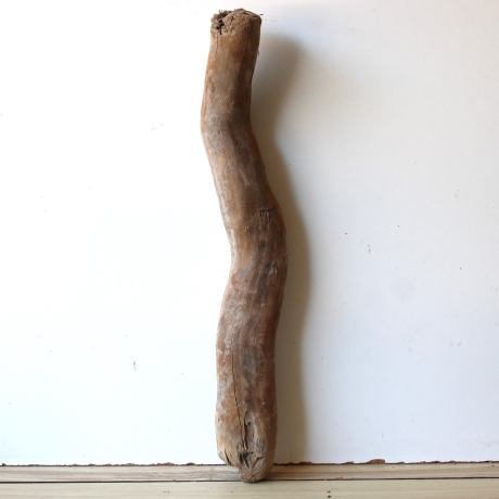 Treibholz Schwemmholz Driftwood 1 XL Stamm  Terrarium 62 cm 