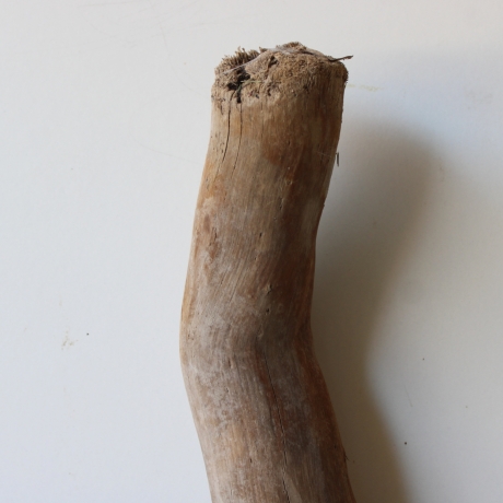 Treibholz Schwemmholz Driftwood 1 XL Stamm  Terrarium 62 cm 