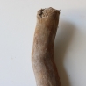 Treibholz Schwemmholz Driftwood 1 XL Stamm  Terrarium 62 cm 