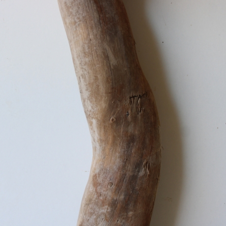 Treibholz Schwemmholz Driftwood 1 XL Stamm  Terrarium 62 cm 