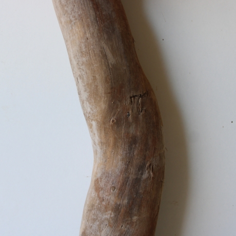 Treibholz Schwemmholz Driftwood 1 XL Stamm  Terrarium 62 cm 