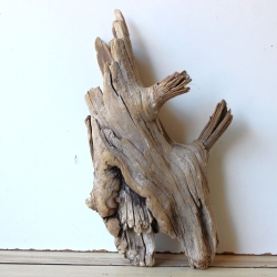 Treibholz Schwemmholz Driftwood 1  Wurzel  Terrarium  37 cm 
