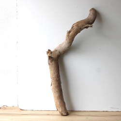 Treibholz Schwemmholz Driftwood 1 XXL Stamm  Terrarium 95 cm 