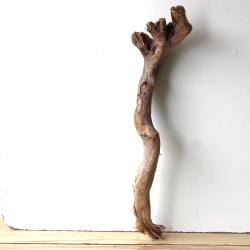 Treibholz Schwemmholz Driftwood 1  Wurzel  Terrarium 69 cm 