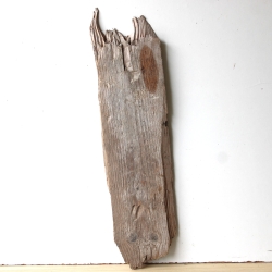 Treibholz Schwemmholz Driftwood 1 XL   Brett  Regal 73 cm  