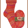 Opal Regenwald 18, 4-fädige Sockenwolle, Farbe 11205