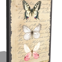 Holzschild-Shabby Schmetterling