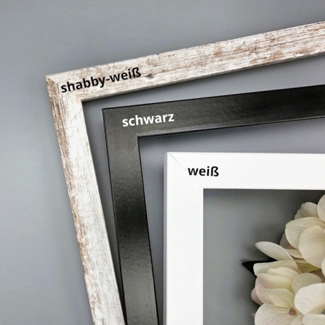 personalisiertes Geldgeschenk zum Geburtstag - Motiv Fee