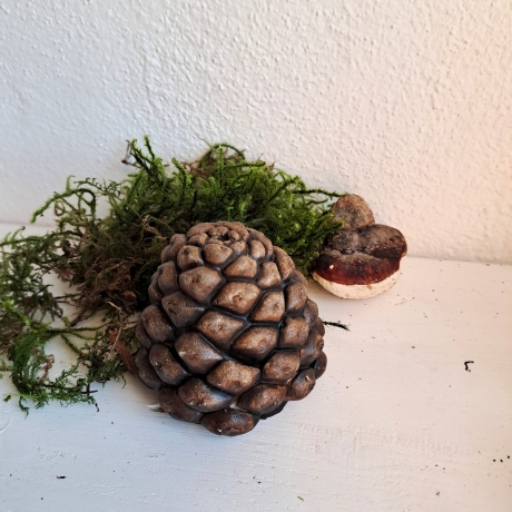 Zapfen Baumzapfen Pinienzapfen Pinie Deko Herbst Beton