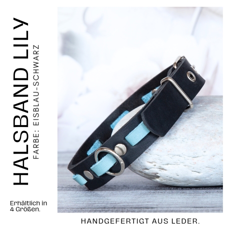 Extravagantes Leder Halsband. Luxus Hundehalsband. Helles Eisblau