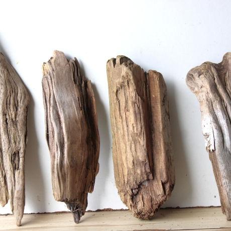 Treibholz Schwemmholz Driftwood 4 Hölzer Terrarium 29-37 cm *E2*