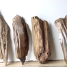 Treibholz Schwemmholz Driftwood 4 Hölzer Terrarium 29-37 cm *E2*