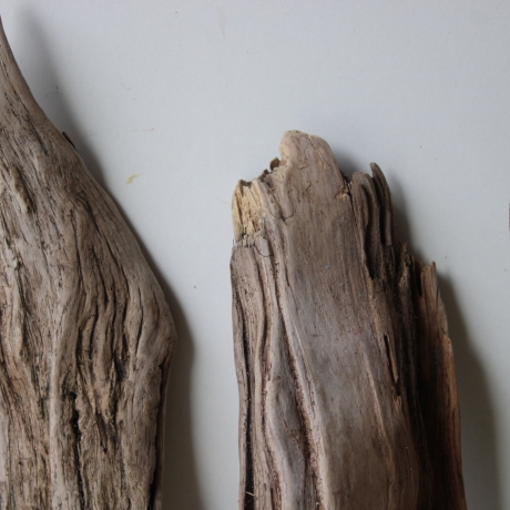 Treibholz Schwemmholz Driftwood 4 Hölzer Terrarium 29-37 cm *E2*