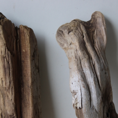 Treibholz Schwemmholz Driftwood 4 Hölzer Terrarium 29-37 cm *E2*