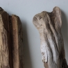 Treibholz Schwemmholz Driftwood 4 Hölzer Terrarium 29-37 cm *E2*