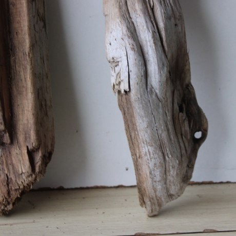 Treibholz Schwemmholz Driftwood 4 Hölzer Terrarium 29-37 cm *E2*