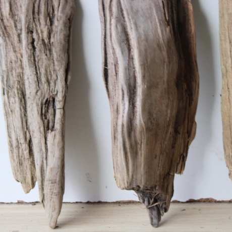 Treibholz Schwemmholz Driftwood 4 Hölzer Terrarium 29-37 cm *E2*
