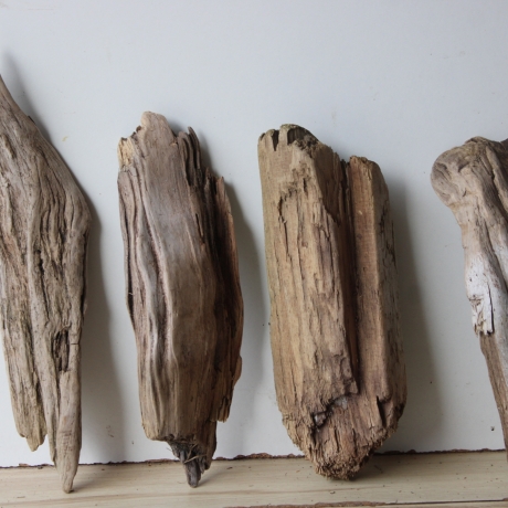 Treibholz Schwemmholz Driftwood 4 Hölzer Terrarium 29-37 cm *E2*