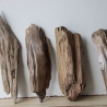 Treibholz Schwemmholz Driftwood 4 Hölzer Terrarium 29-37 cm *E2*