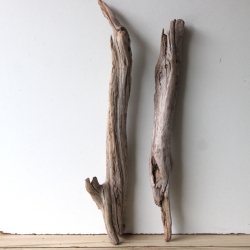 Treibholz Schwemmholz Driftwood 2 XL Hölzer Terrarium 70 - 72 cm 