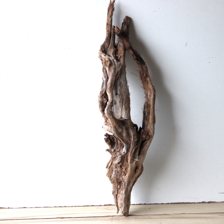 Treibholz Schwemmholz Driftwood 1 knorrige   Wurzel  73 cm 