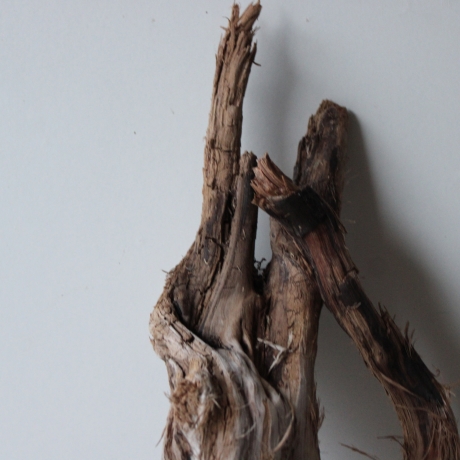 Treibholz Schwemmholz Driftwood 1 knorrige   Wurzel  73 cm 