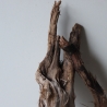 Treibholz Schwemmholz Driftwood 1 knorrige   Wurzel  73 cm 