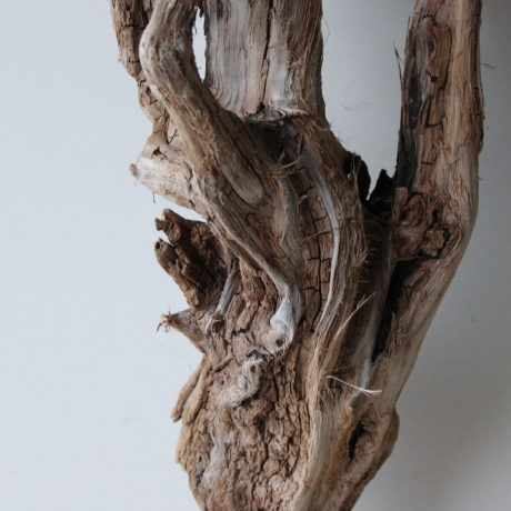 Treibholz Schwemmholz Driftwood 1 knorrige   Wurzel  73 cm 