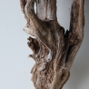 Treibholz Schwemmholz Driftwood 1 knorrige   Wurzel  73 cm 