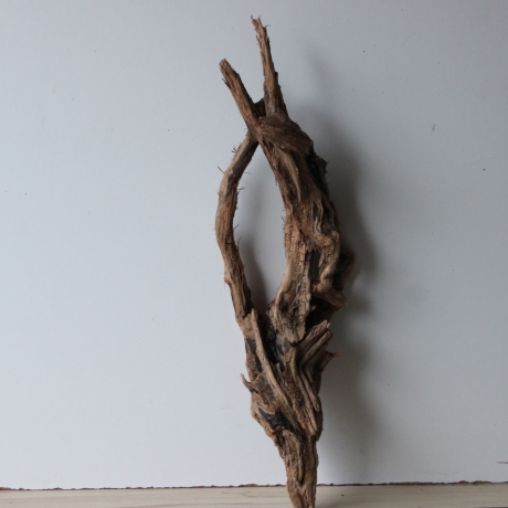 Treibholz Schwemmholz Driftwood 1 knorrige   Wurzel  73 cm 