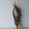 Treibholz Schwemmholz Driftwood 1 knorrige   Wurzel  73 cm 