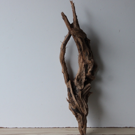 Treibholz Schwemmholz Driftwood 1 knorrige   Wurzel  73 cm 
