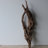 Treibholz Schwemmholz Driftwood 1 knorrige   Wurzel  73 cm 