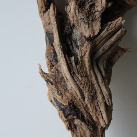 Treibholz Schwemmholz Driftwood 1 knorrige   Wurzel  73 cm 