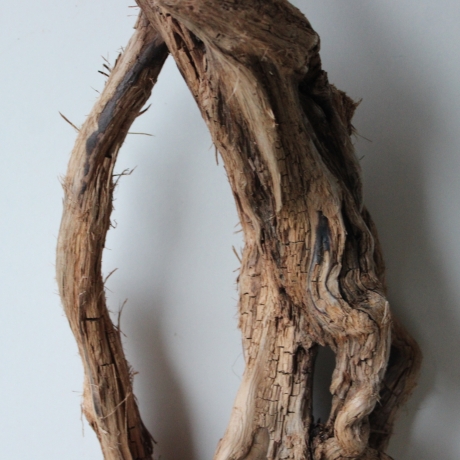 Treibholz Schwemmholz Driftwood 1 knorrige   Wurzel  73 cm 