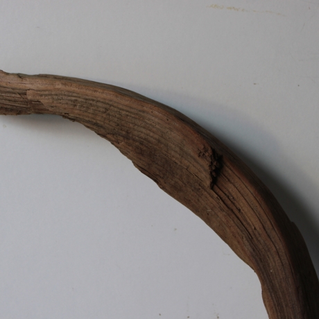 Treibholz Schwemmholz Driftwood 1 XL Skulptur  87 cm 