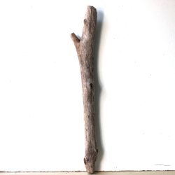 Treibholz Schwemmholz Driftwood 1 XL Ast  Garderobe 84  cm  