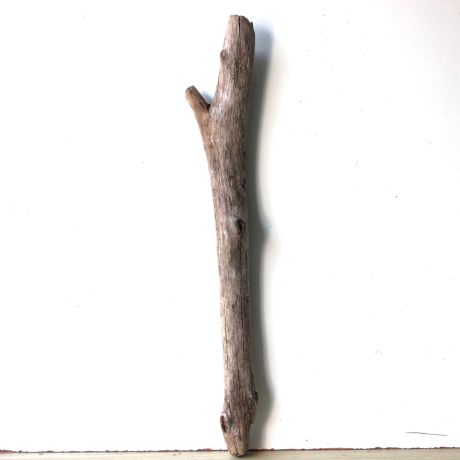 Treibholz Schwemmholz Driftwood 1 XL Ast  Garderobe 84  cm  