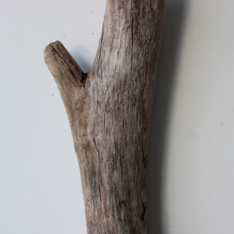 Treibholz Schwemmholz Driftwood 1 XL Ast  Garderobe 84  cm  