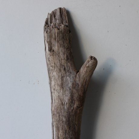Treibholz Schwemmholz Driftwood 1 XL Ast  Garderobe 84  cm  