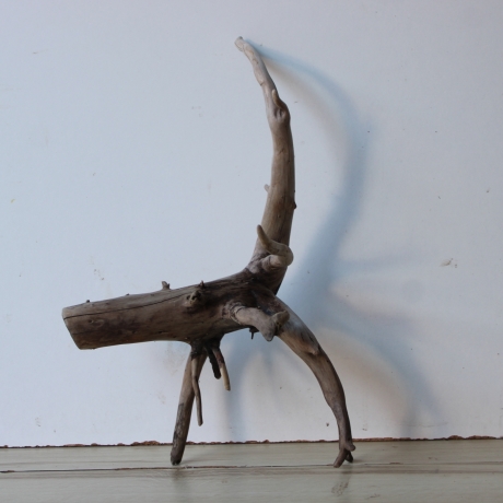 Treibholz Schwemmholz Driftwood 1  Wurzel  Terrarium 46 cm 