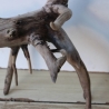 Treibholz Schwemmholz Driftwood 1  Wurzel  Terrarium 46 cm 
