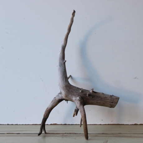 Treibholz Schwemmholz Driftwood 1  Wurzel  Terrarium 46 cm 