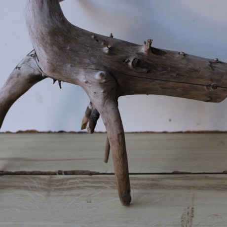 Treibholz Schwemmholz Driftwood 1  Wurzel  Terrarium 46 cm 