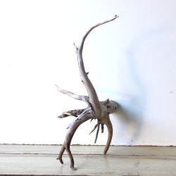 Treibholz Schwemmholz Driftwood 1  Wurzel  Terrarium 46 cm 