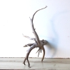 Treibholz Schwemmholz Driftwood 1  Wurzel  Terrarium 46 cm 